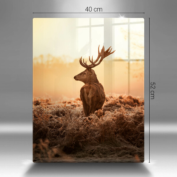 Glas Ceranfeldabdeckung Hirsch auf dem Feld