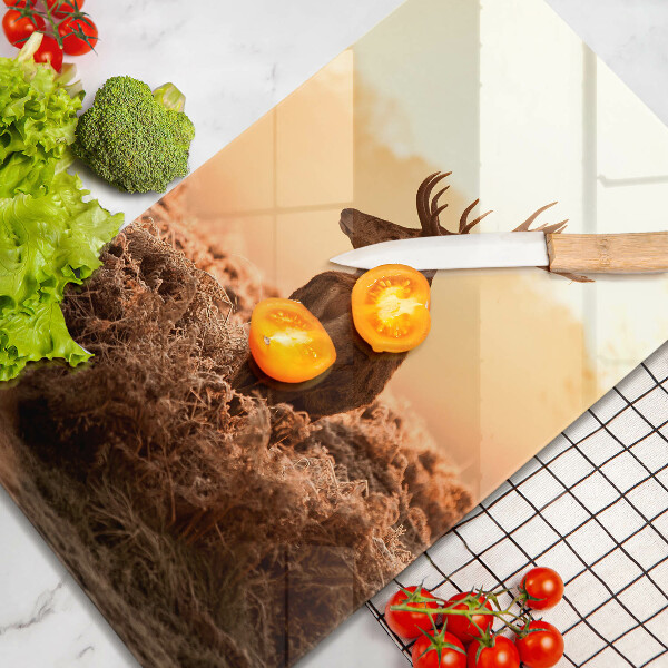 Glas Ceranfeldabdeckung Hirsch auf dem Feld