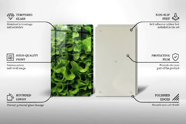 Glas Ceranfeldabdeckung Grüne Salatblätter