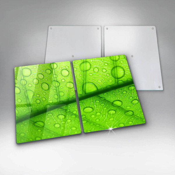 Glas Ceranfeldabdeckung Nahaufnahme eines Blattes