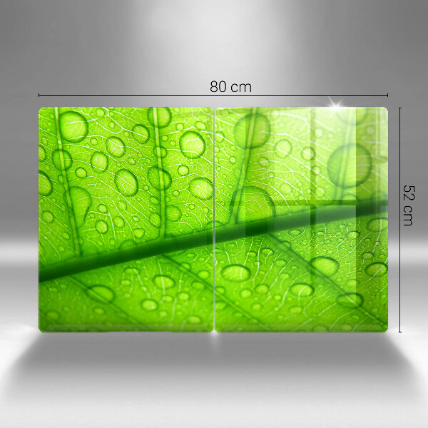 Glas Ceranfeldabdeckung Nahaufnahme eines Blattes