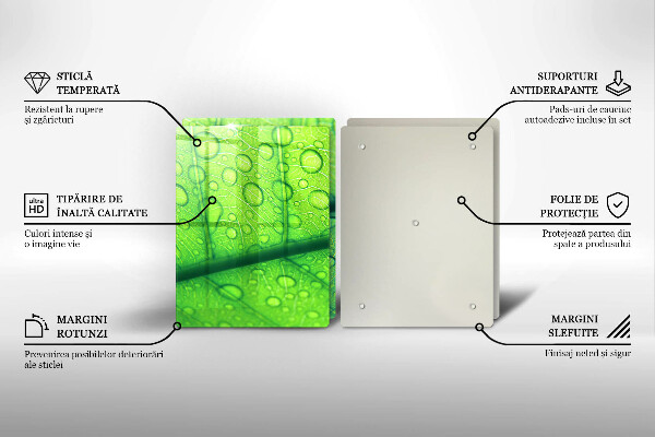 Glas Ceranfeldabdeckung Nahaufnahme eines Blattes