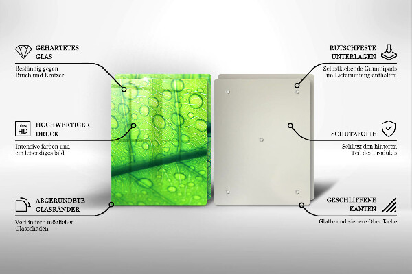 Glas Ceranfeldabdeckung Nahaufnahme eines Blattes