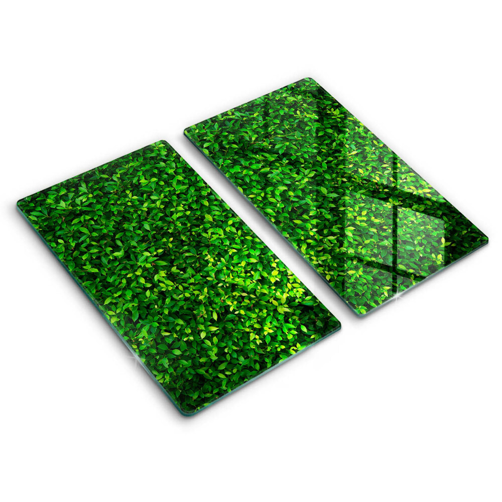Glas Herdabdeckplatte Pflanze mit kleinen Blättern