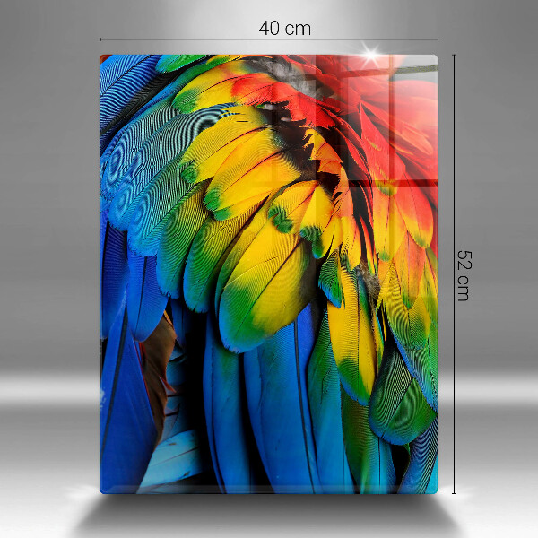 Glas Herdabdeckplatte Bunte Papageienfedern