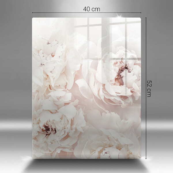 Glas Herdabdeckplatte Pastellfarbene Pfingstrosen