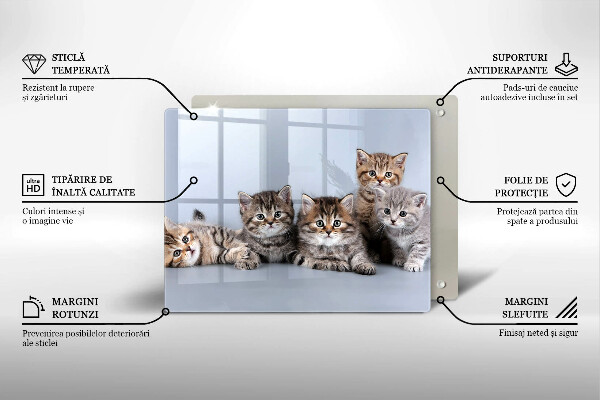 Glas Herdabdeckplatte Süße kleine Kätzchen