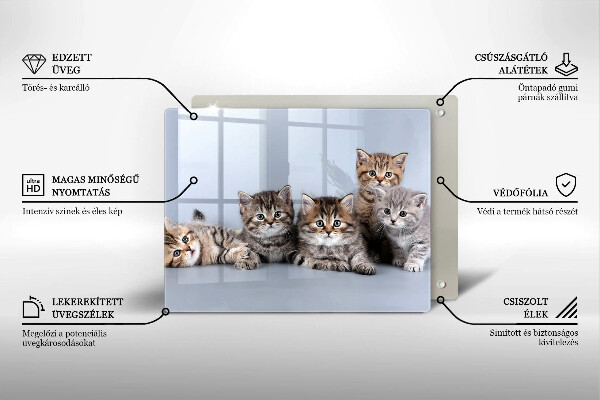 Glas Herdabdeckplatte Süße kleine Kätzchen