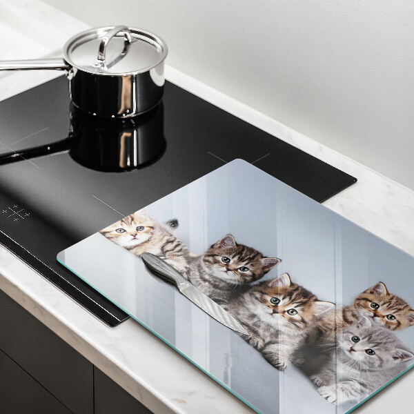 Glas Herdabdeckplatte Süße kleine Kätzchen