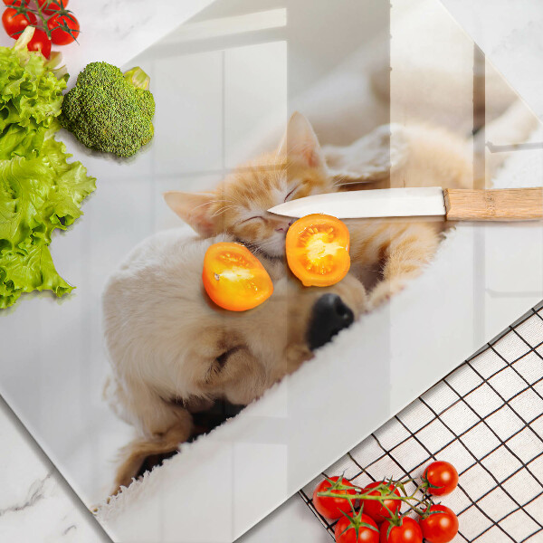 Glas Herdabdeckplatte Tiere Hund und Katze