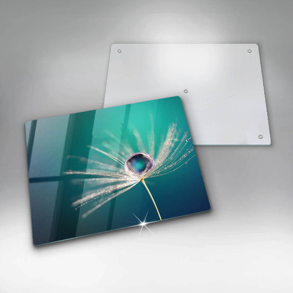 Glas Herdabdeckplatte Tau auf einem Löwenzahn