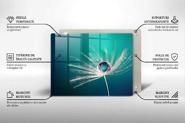 Glas Herdabdeckplatte Tau auf einem Löwenzahn