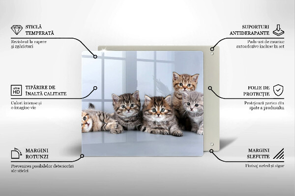 Glas Herdabdeckplatte Süße kleine Kätzchen