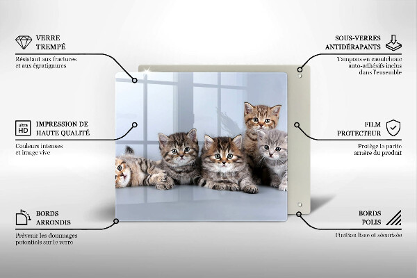Glas Herdabdeckplatte Süße kleine Kätzchen