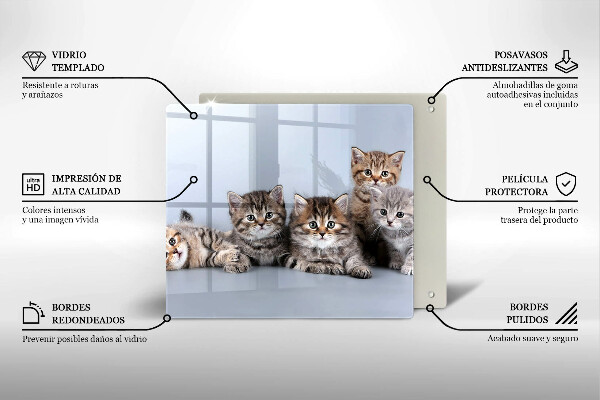 Glas Herdabdeckplatte Süße kleine Kätzchen