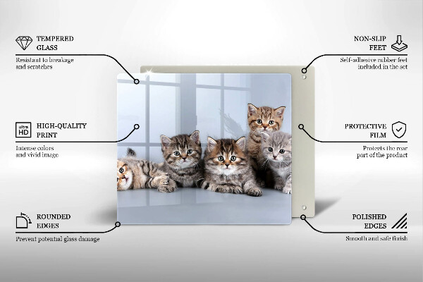 Glas Herdabdeckplatte Süße kleine Kätzchen