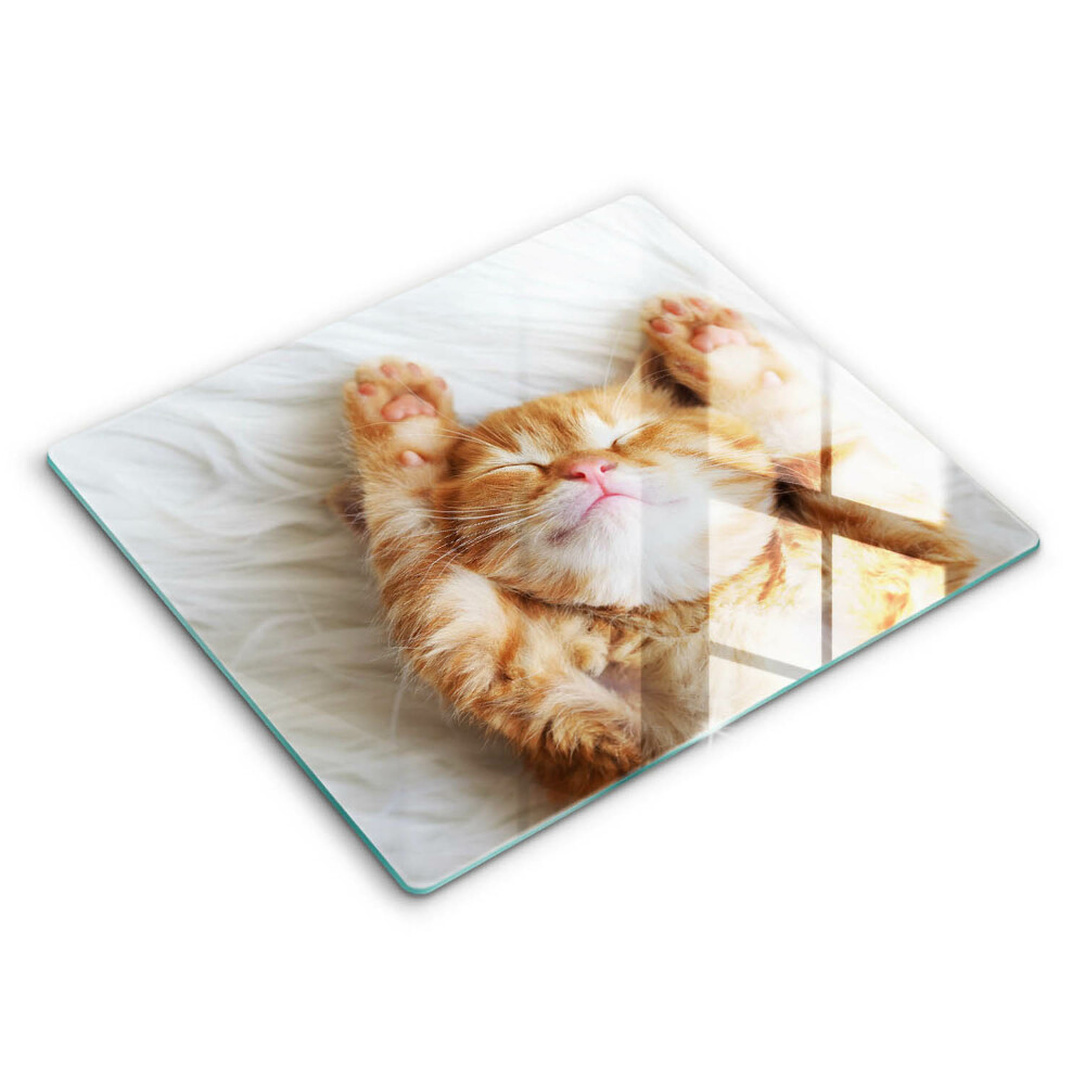 Glas Herdabdeckplatte Kleines süßes Kätzchen