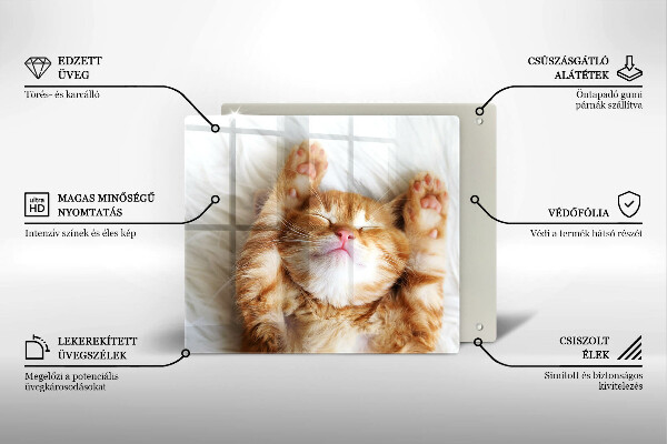 Glas Herdabdeckplatte Kleines süßes Kätzchen