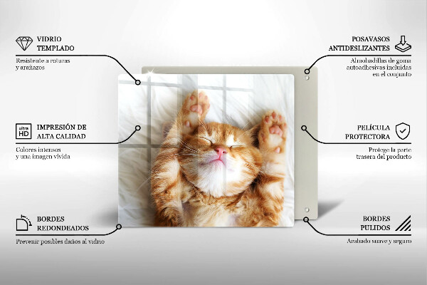 Glas Herdabdeckplatte Kleines süßes Kätzchen