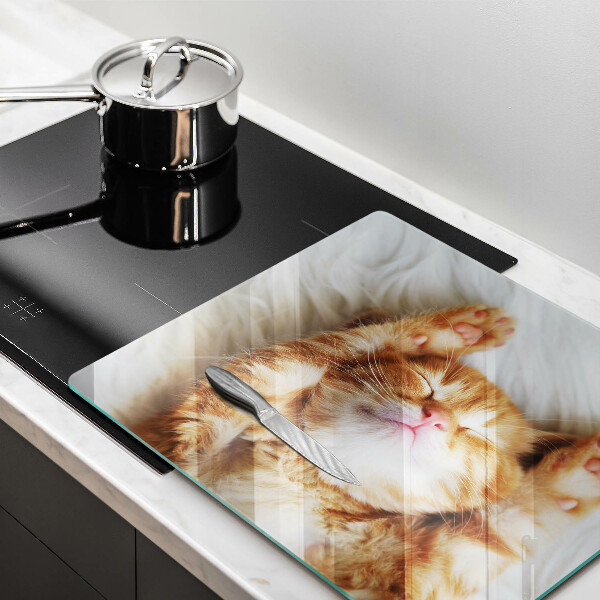 Glas Herdabdeckplatte Kleines süßes Kätzchen