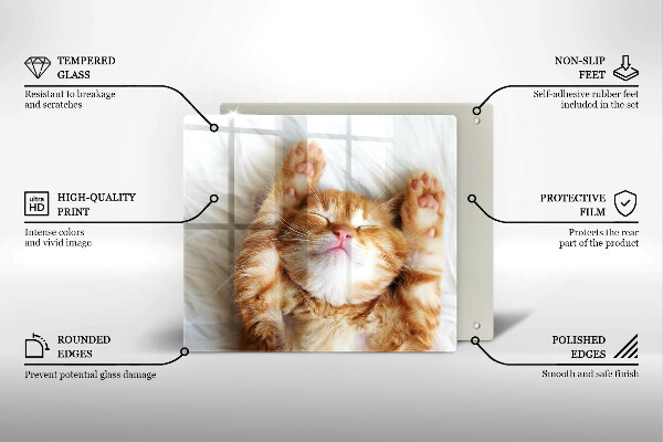 Glas Herdabdeckplatte Kleines süßes Kätzchen