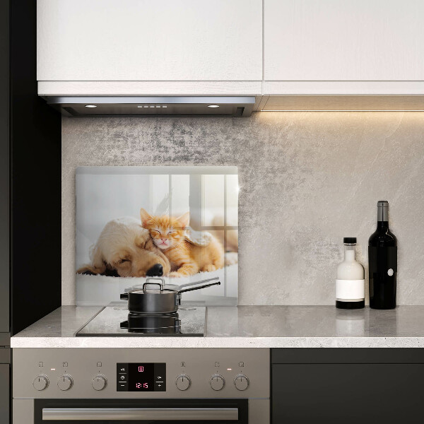 Glas Ceranfeldabdeckung Tiere Hund und Katze