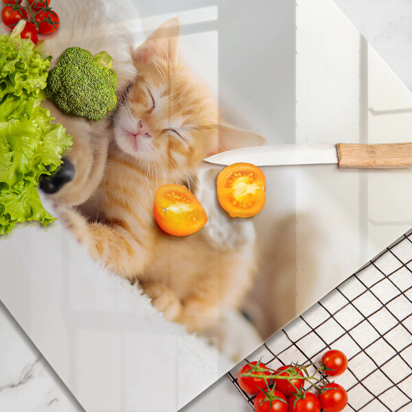 Glas Ceranfeldabdeckung Tiere Hund und Katze