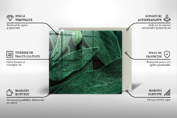 Glas Herdabdeckplatte Die Blätter der Pflanze