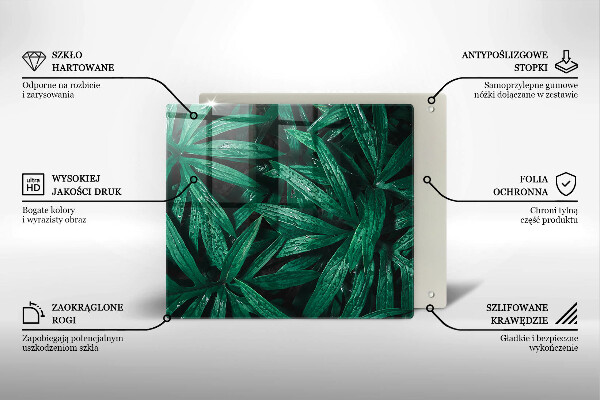 Glas Ceranfeldabdeckung Pflanzenblätter