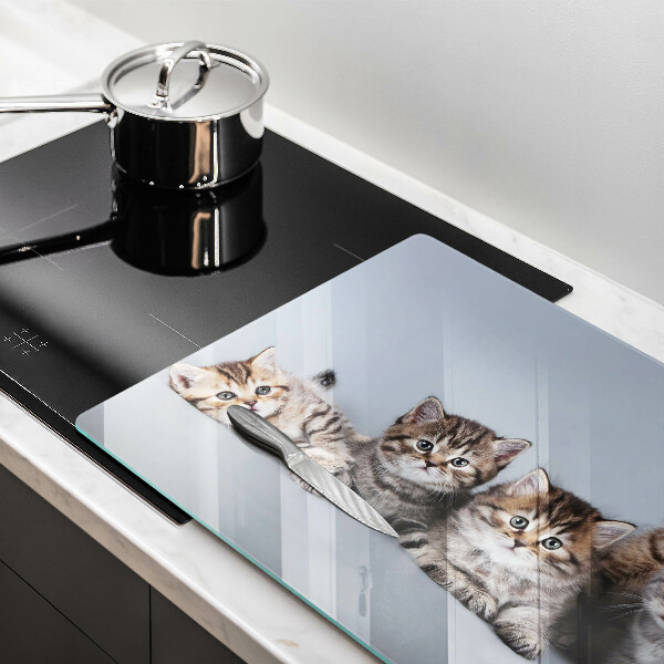 Glas Herdabdeckplatte Süße kleine Kätzchen