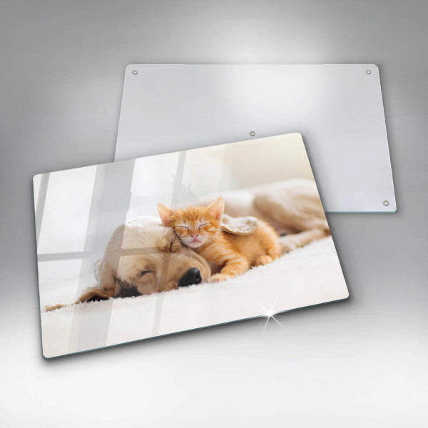 Glas Ceranfeldabdeckung Tiere Hund und Katze
