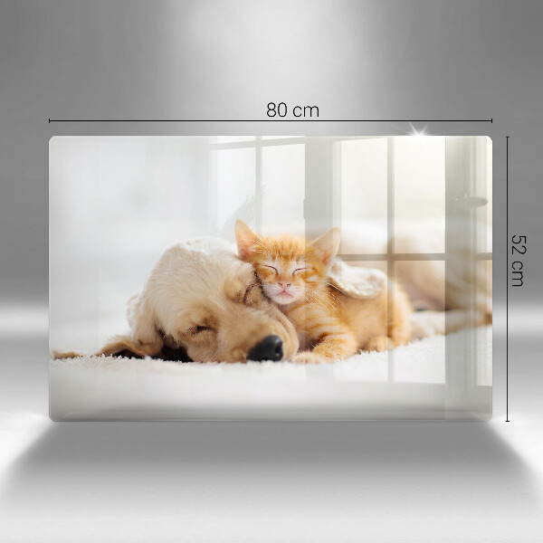 Glas Ceranfeldabdeckung Tiere Hund und Katze