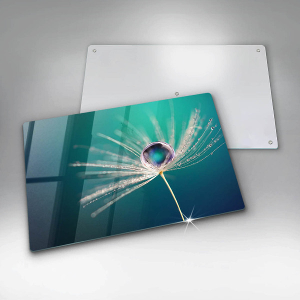 Glas Ceranfeldabdeckung Tau auf einem Löwenzahn