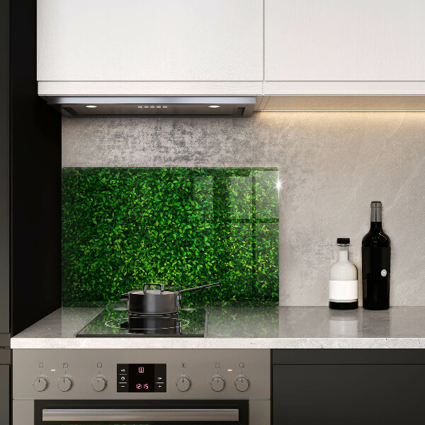 Glas Ceranfeldabdeckung Pflanze mit kleinen Blättern