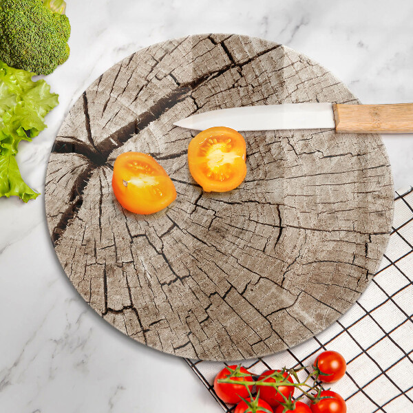 Glas Ceranfeldabdeckung Querschnitt eines Baumes