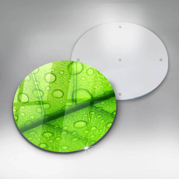 Glas Herdabdeckplatte Nahaufnahme eines Blattes