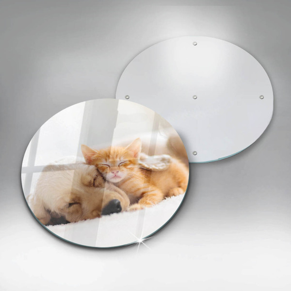 Glas Ceranfeldabdeckung Spritzschutz Tiere Hund und Katze
