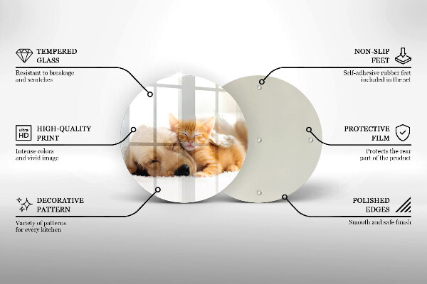 Glas Ceranfeldabdeckung Spritzschutz Tiere Hund und Katze