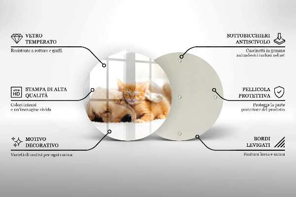 Glas Ceranfeldabdeckung Spritzschutz Tiere Hund und Katze