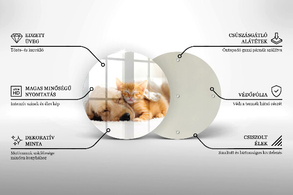 Glas Ceranfeldabdeckung Spritzschutz Tiere Hund und Katze