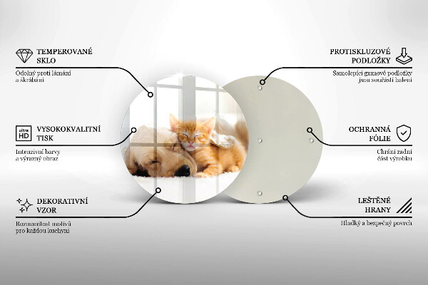 Glas Ceranfeldabdeckung Spritzschutz Tiere Hund und Katze
