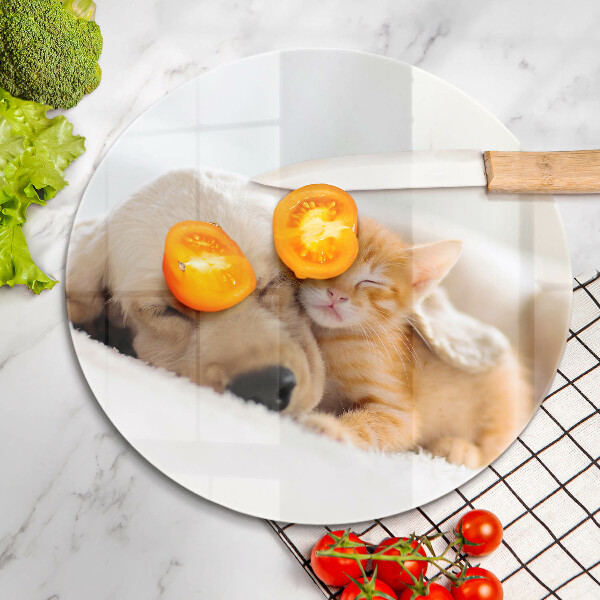 Glas Ceranfeldabdeckung Spritzschutz Tiere Hund und Katze