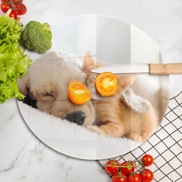 Glas Ceranfeldabdeckung Spritzschutz Tiere Hund und Katze