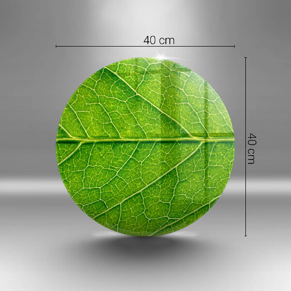 Glas Ceranfeldabdeckung Naturblattadern