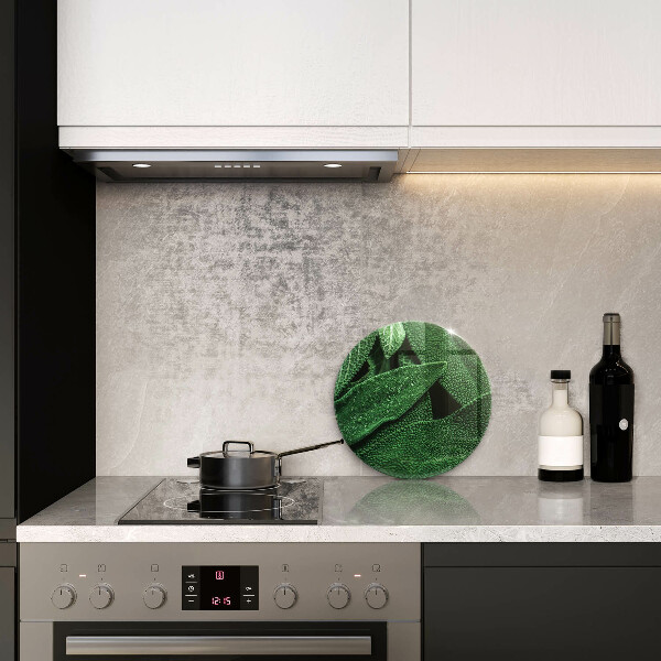 Glas Ceranfeldabdeckung Die Blätter der Pflanze