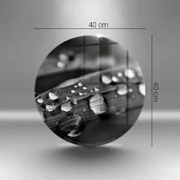 Glas Ceranfeldabdeckung Spritzschutz Tautropfen auf den Blättern