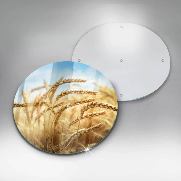 Glas Ceranfeldabdeckung Spritzschutz Getreideähren auf dem Feld