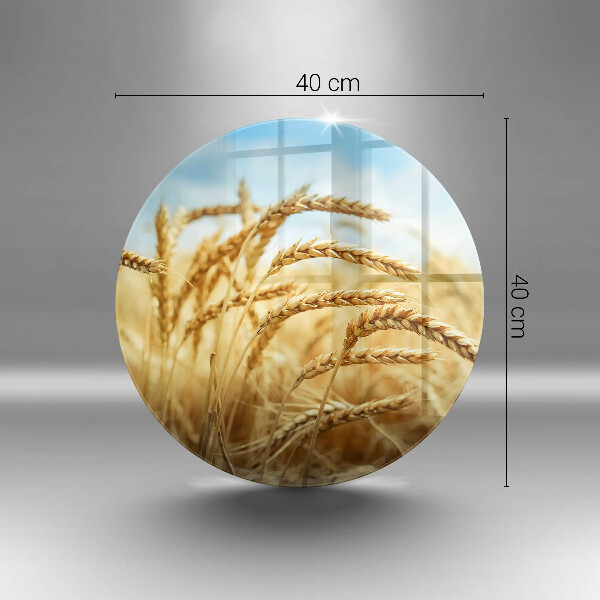 Glas Ceranfeldabdeckung Spritzschutz Getreideähren auf dem Feld