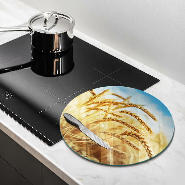 Glas Ceranfeldabdeckung Spritzschutz Getreideähren auf dem Feld