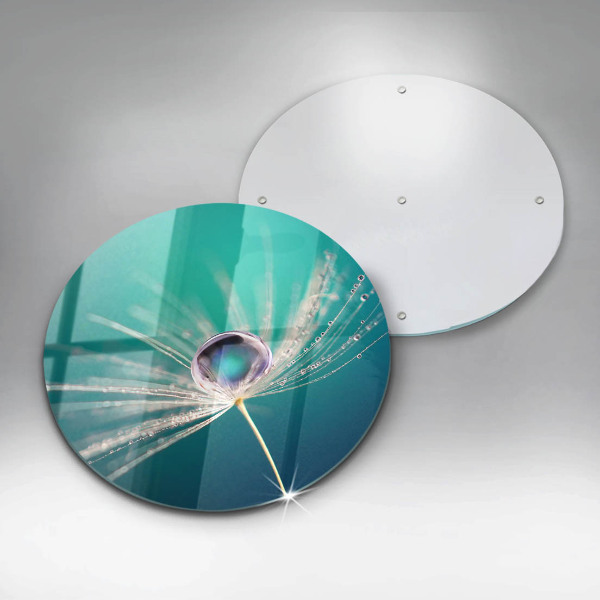 Glas Herdabdeckplatte Tau auf einem Löwenzahn